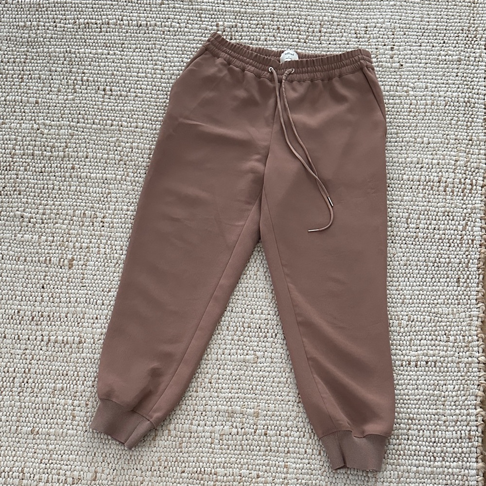 Aritzia Taupe Joggers